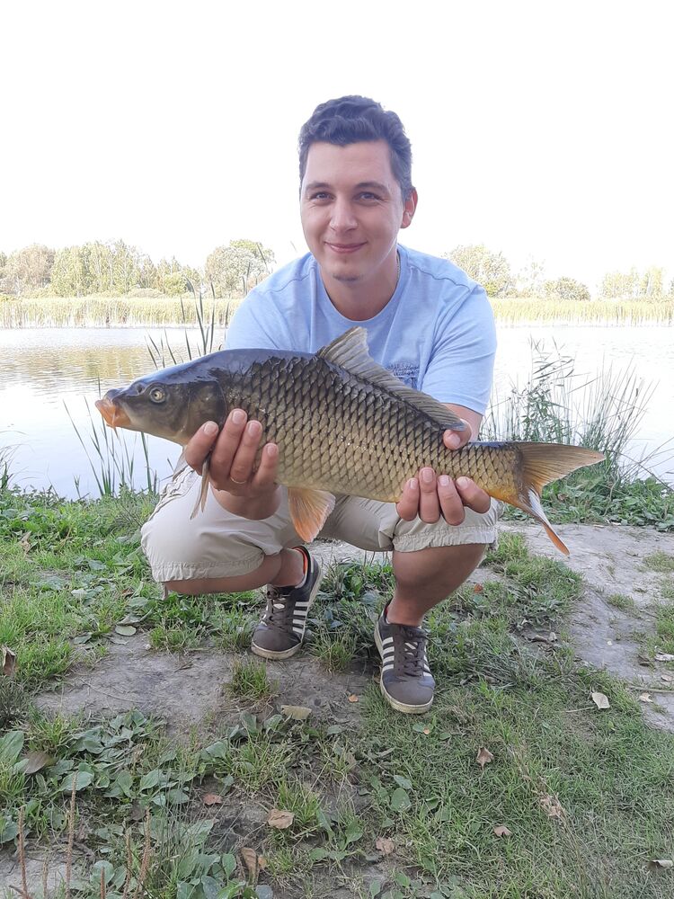 ���� 25566655 ������� ������, 34 ����, ���� ���������� � ������