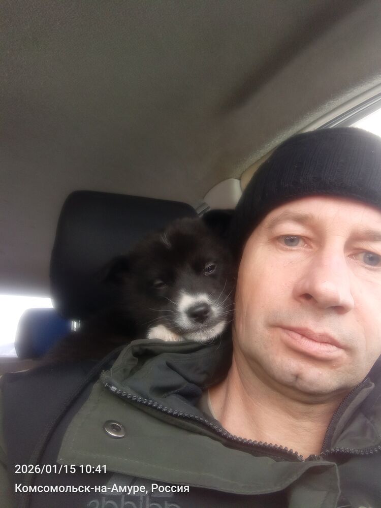 ���� 56192765 ������� �������, 46 ���, ���� ���������� � ����������