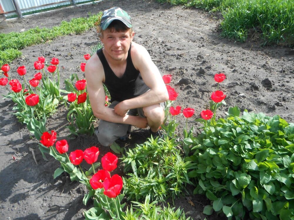 ���������� ����, ���� ������� Maks, 34 ����, ������������ ��� ������, ����� � ���������, c�������� ���������