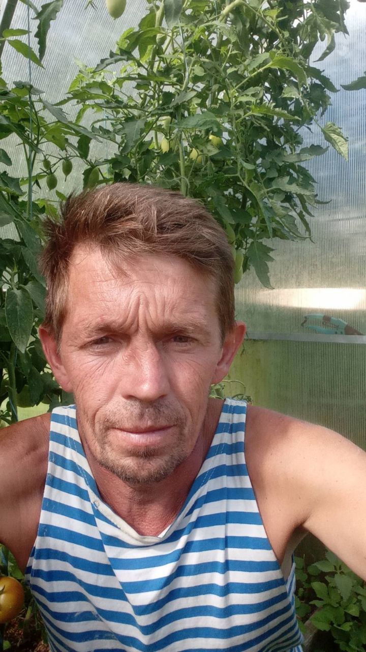  38985405  , 49 ,    
