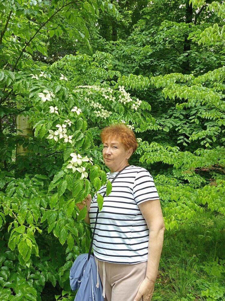 ���� 51894295 ������� �������, 65 ���, ���� ���������� � ���������