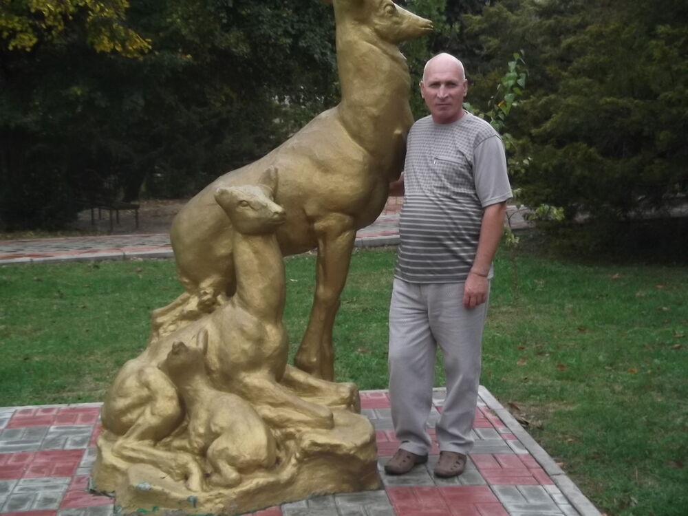  5560465  , 64 ,    