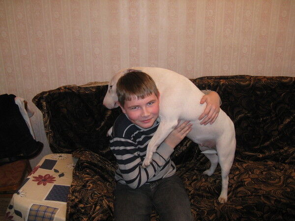 ���� 11988445 ������� ����, 27 ���, ���� ���������� � �����������