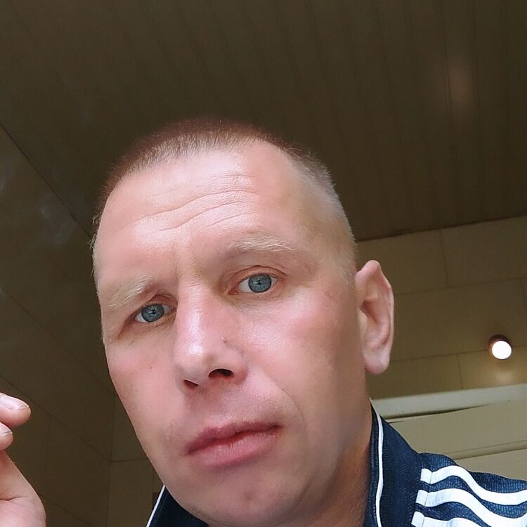  43741595  , 40 ,    
