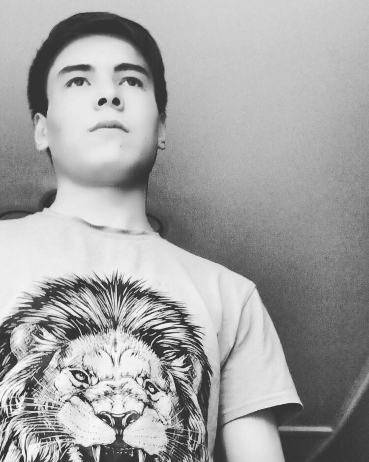 ���� 35623855 ����� �����, 21 ���, ���� ���������� � ������