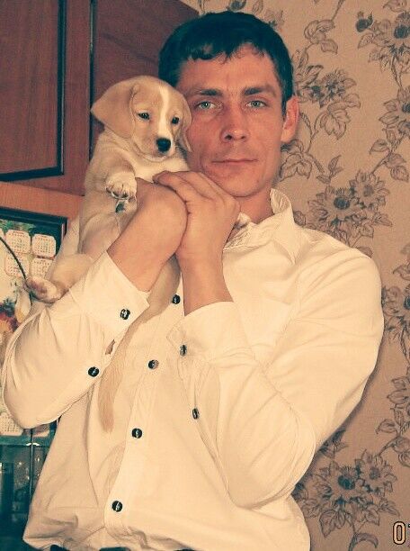  5061475  Wolchok, 41 ,    