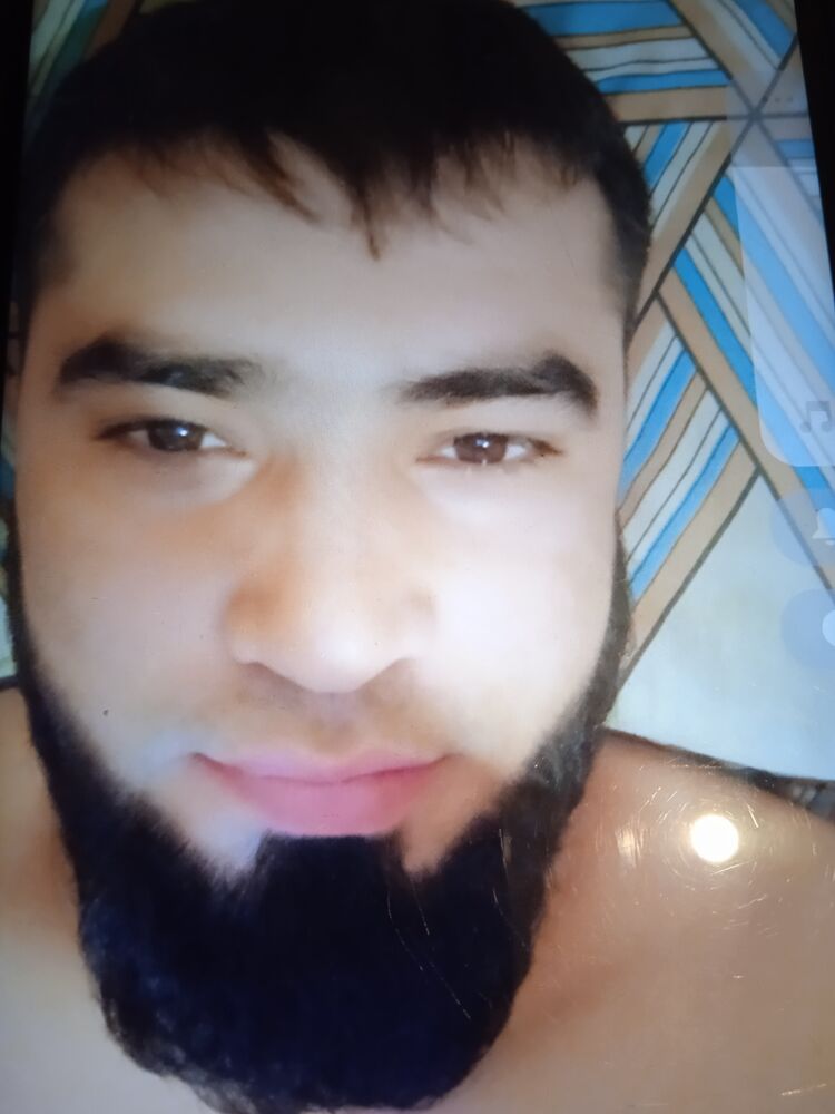  38385875  , 32 ,    -