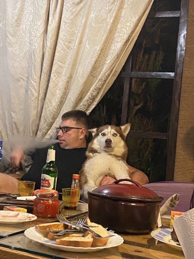 ���������� ������, ���� ������� �����, 29 ���, ������������ ��� ����� � ���������, c�������� ���������, ���������