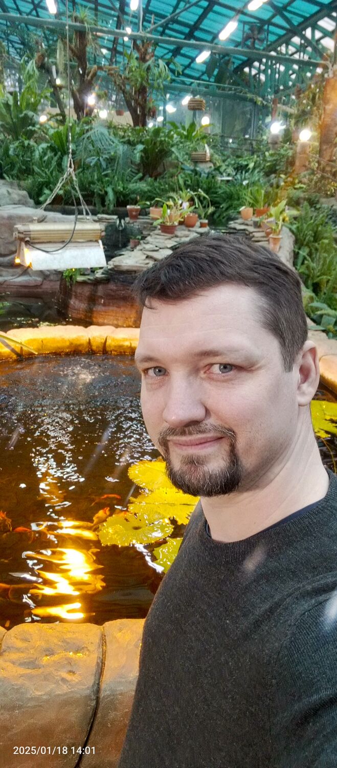 ���� 55349025 ������� �����, 41 ���, ���� ���������� � �������