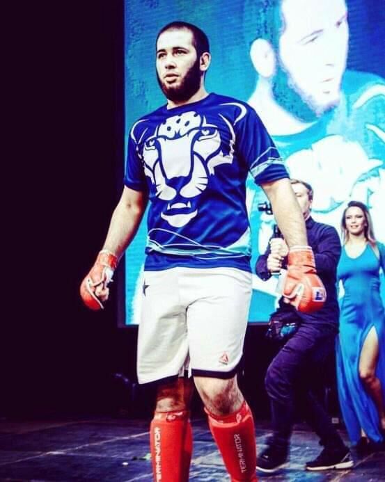  29425055  , 28 ,    -