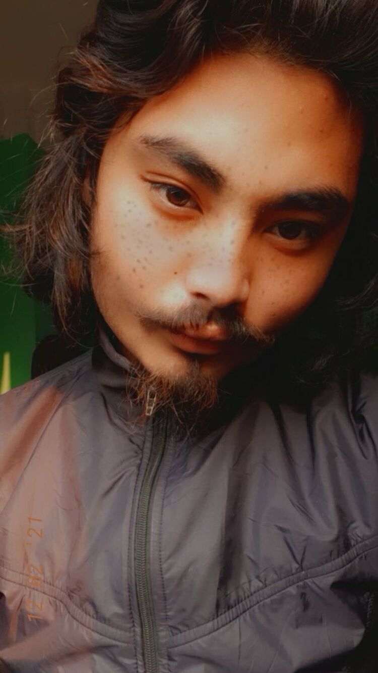 ���� 44592385 ����� Dolley, 24 ����, ���� ���������� � ��������