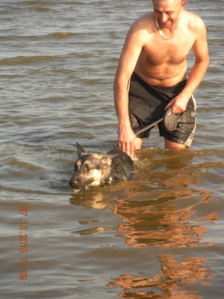 ���������� ������, ���� ������� ������, 41 ���, ������������ ��� ������, ����� � ���������, c�������� ���������