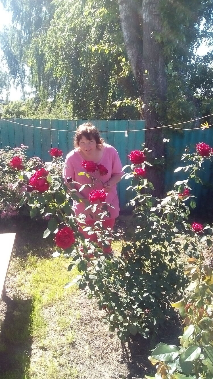 ���� 23712455 ������� �����, 46 ���, ���� ���������� � ������