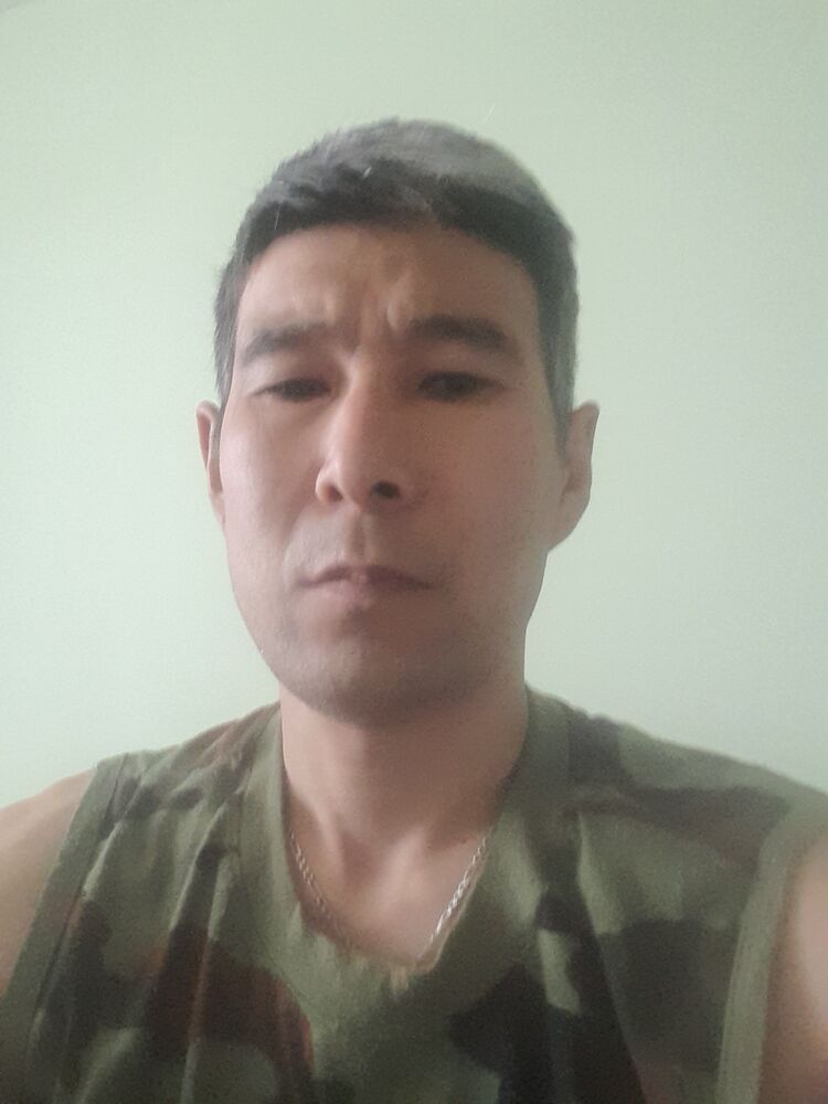  26290205  , 44 ,    