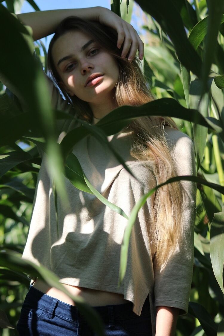  -,   , 24 ,   ,   , c 