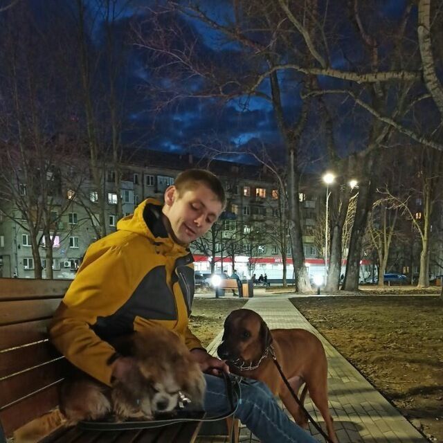 ���� 35703415 ������� ������, 33 ����, ���� ���������� � ���������