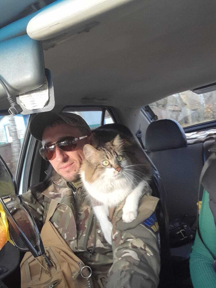 ���������� ���������, ���� ������� ������, 39 ���, ������������ ��� ������, ����� � ���������