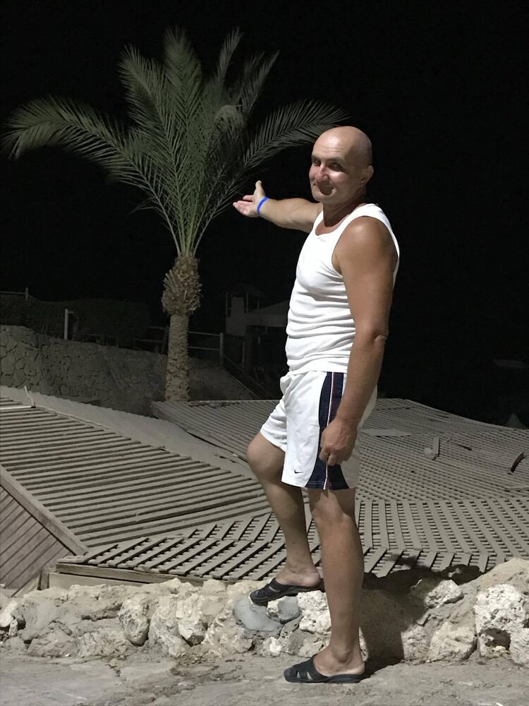  42683575  , 38 ,    