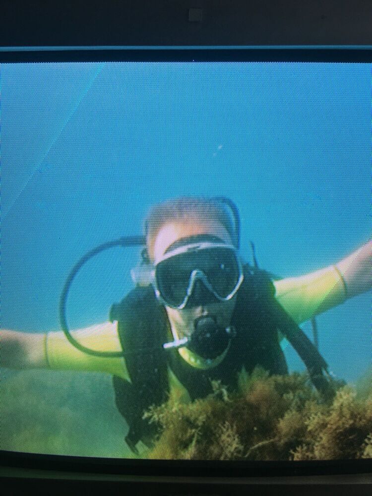 ���������� �����������, ���� ������� ������, 31 ���, ������������ ��� ������, ����� � ���������, c�������� ���������