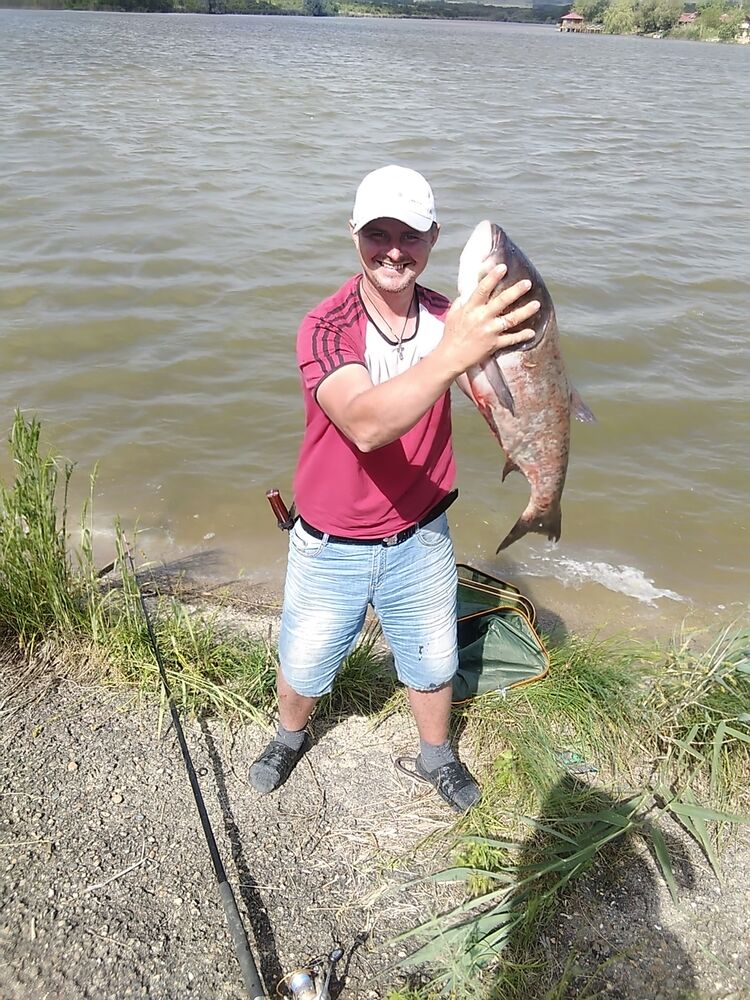 ���������� �������, ���� ������� ������, 38 ���, ������������ ��� ������, ����� � ���������