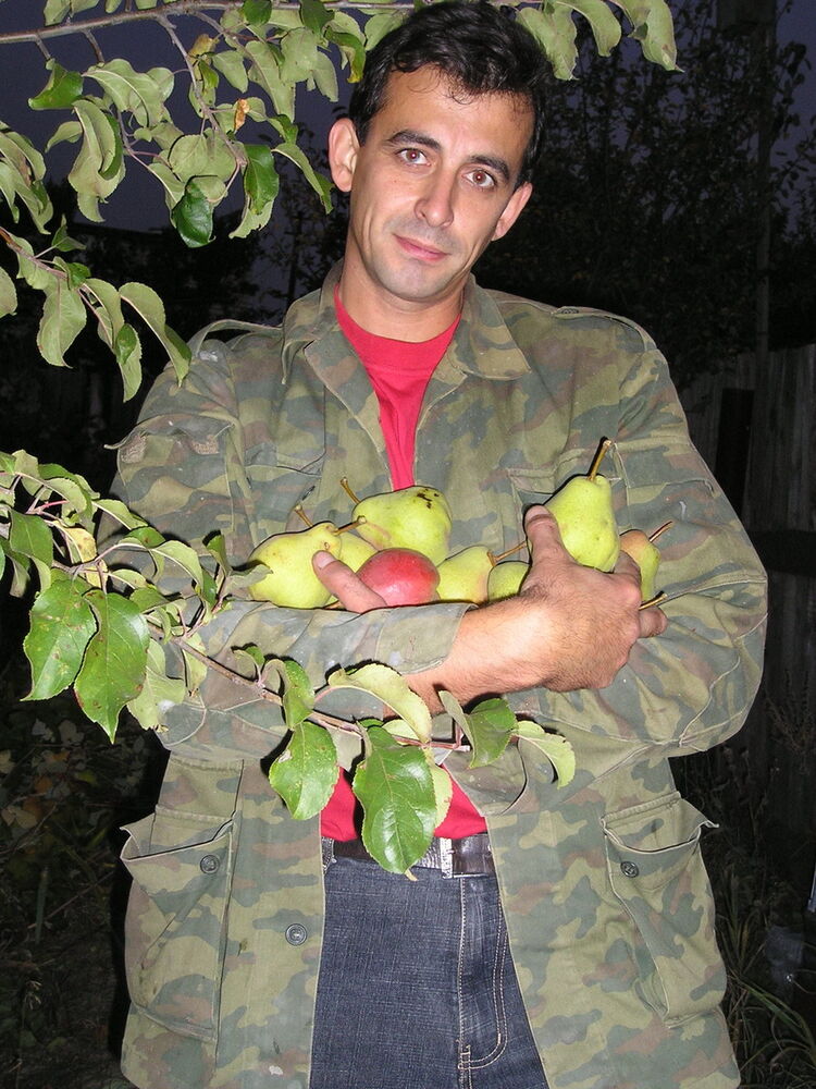 ���� 13539385 ������� ���, 50 ���, ���� ���������� � ���