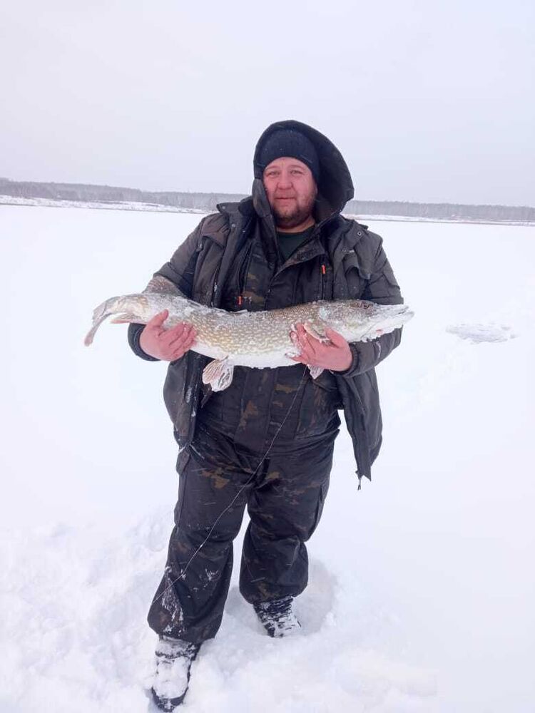 ���� 55375335 ������� ��������, 36 ���, ���� ���������� � ����������