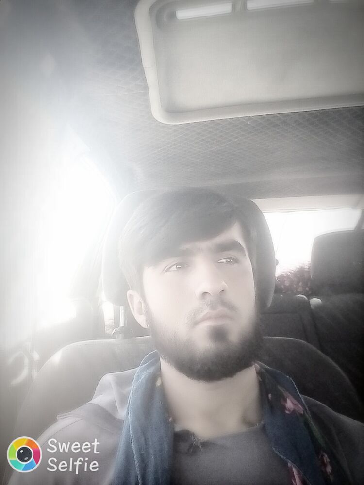  24008355  , 29 ,    