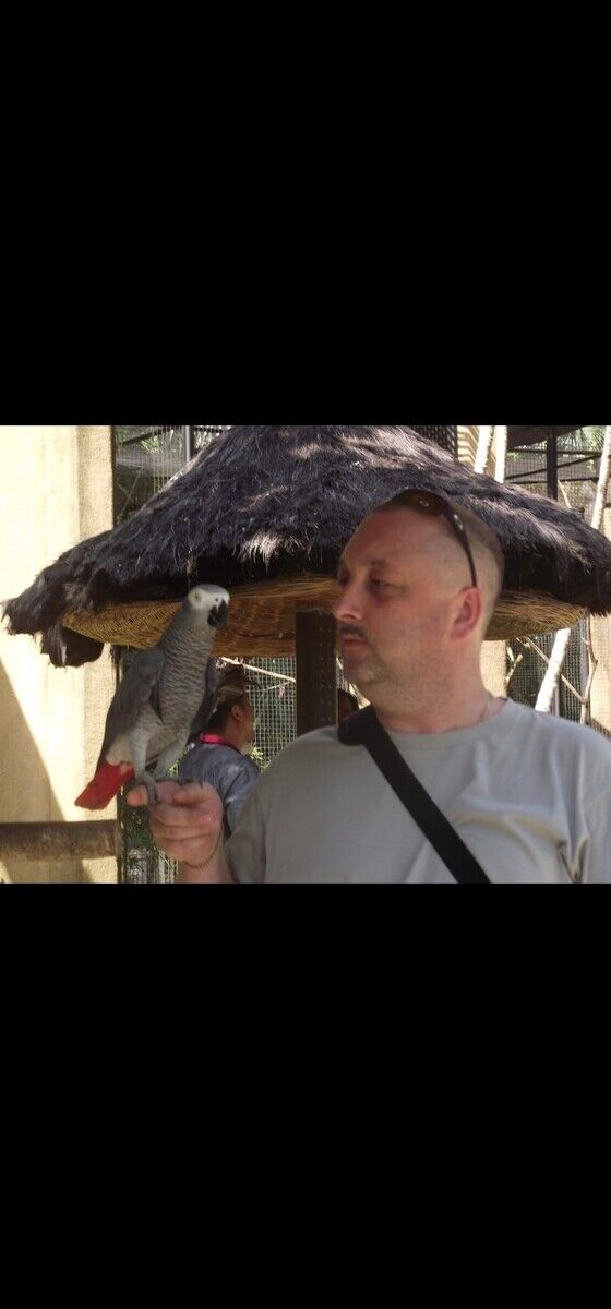 ���������� �������, ���� ������� ���������, 54 ����, ������������ ��� ������, ����� � ���������, c�������� ���������