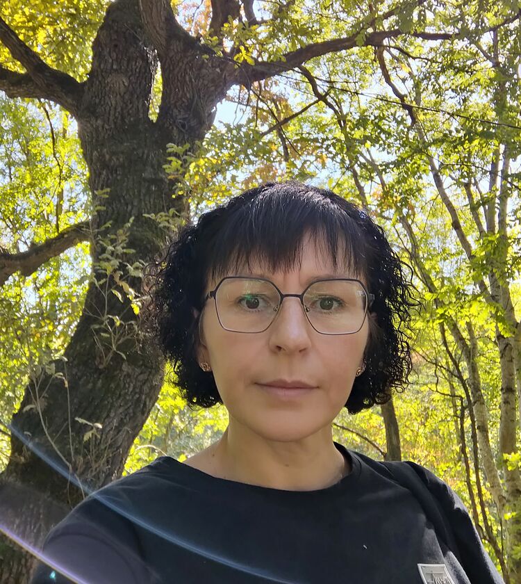  53880145  , 43 ,    --