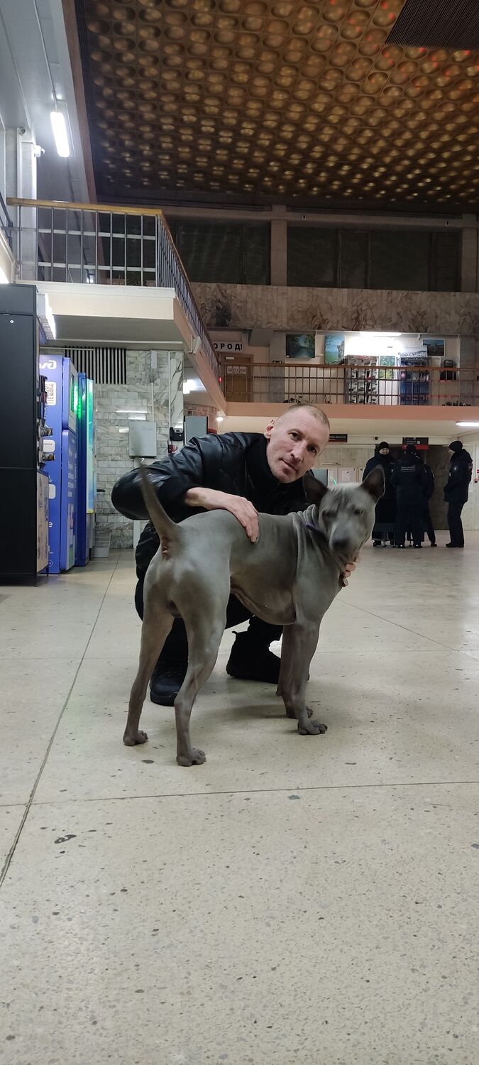 ���������� �����, ���� ������� �������, 42 ����, ������������ ��� ����� � ���������, c�������� ���������