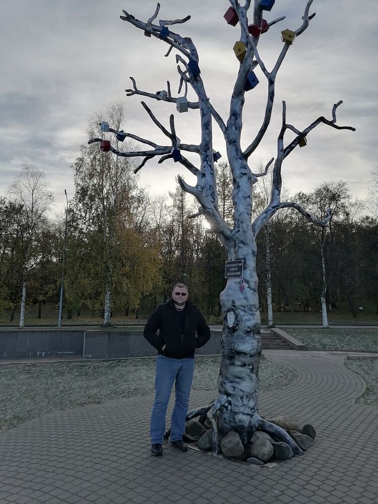  39137875  , 32 ,    -