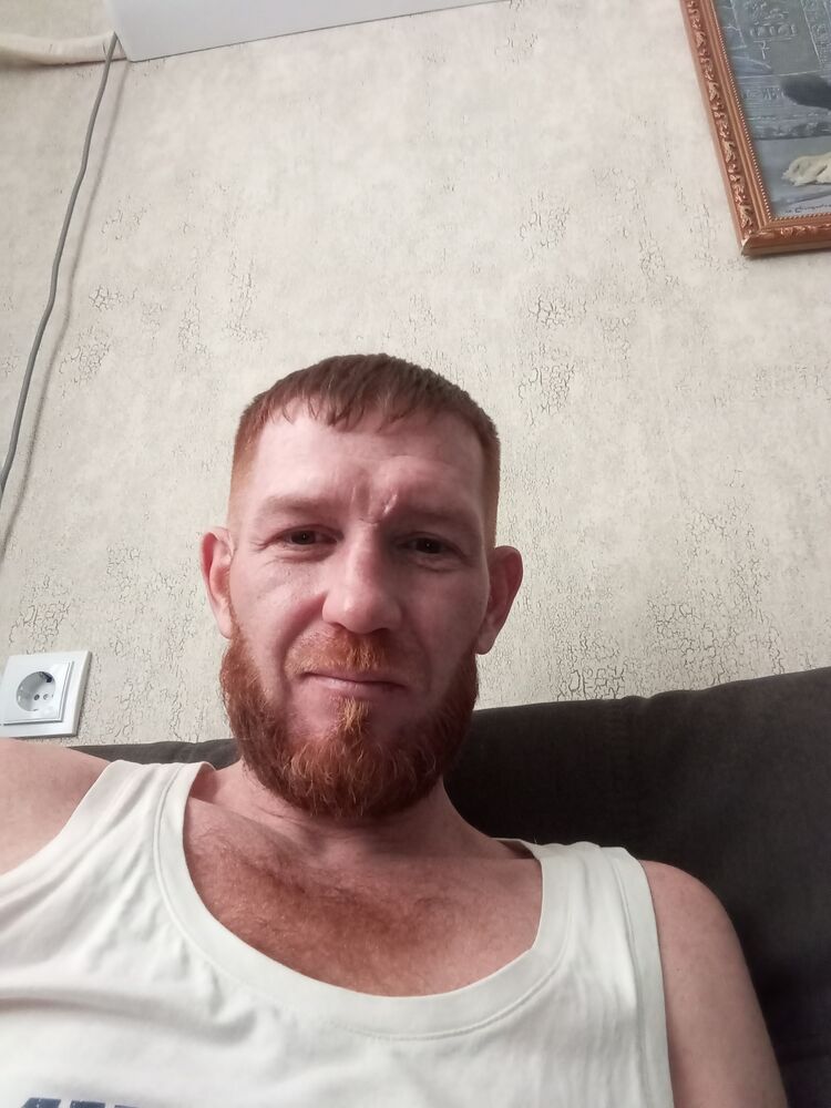  41197005  , 43 ,    