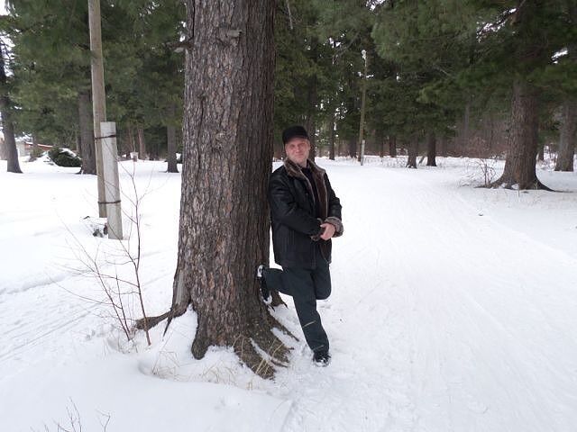 ���� 15295955 ������� ����������, 49 ���, ���� ���������� � ������