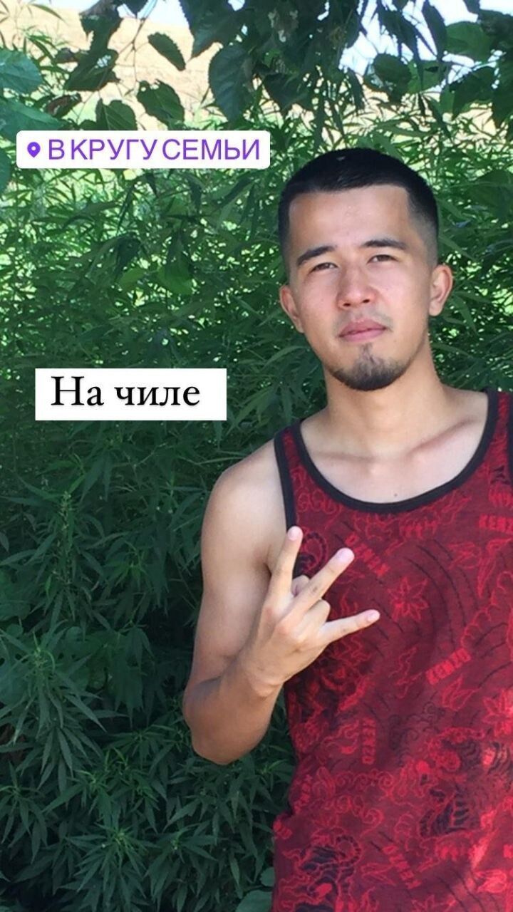  44889755  , 35 ,    