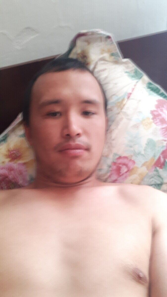  20436055  , 30 ,     