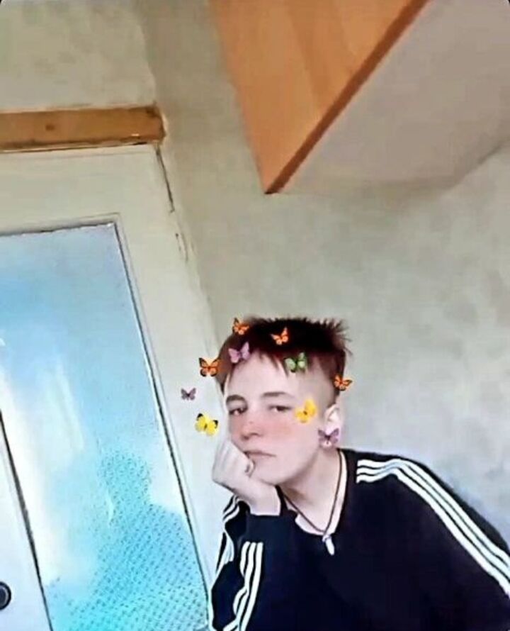  43664115  , 22 ,    