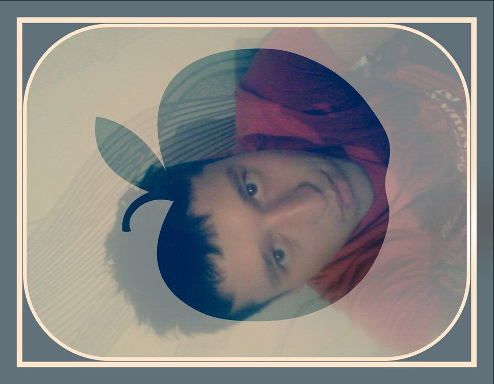  ,   BOBUR, 33 ,   ,   , c 