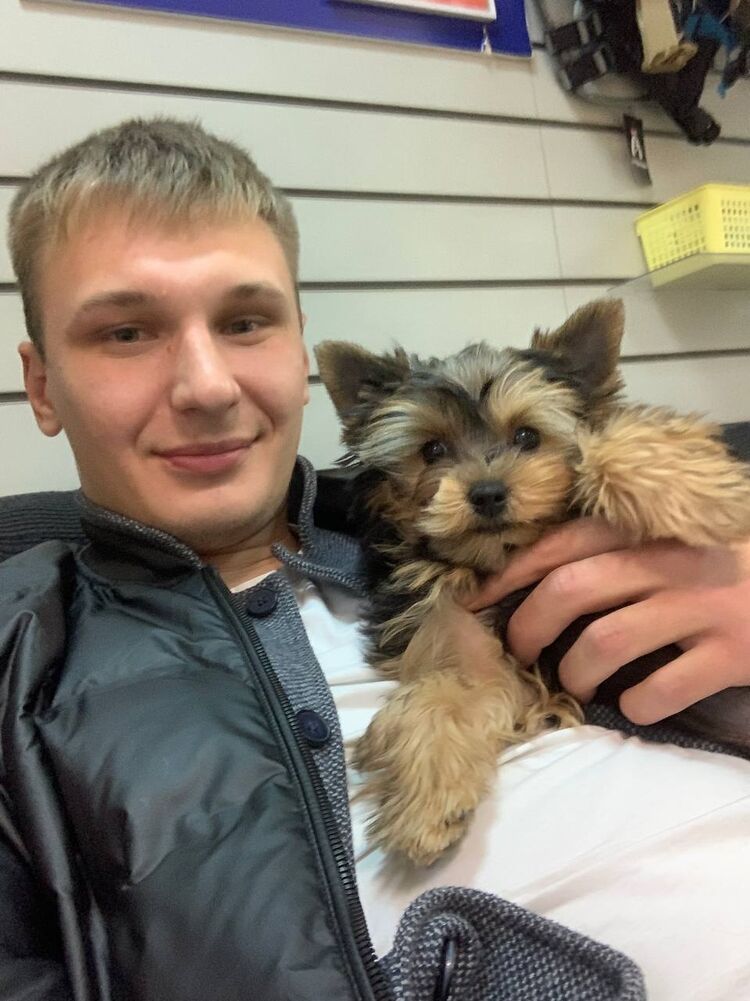 ���������� ��������, ���� ������� ������, 31 ���, ������������ ��� ������, ����� � ���������, c�������� ���������, ���������