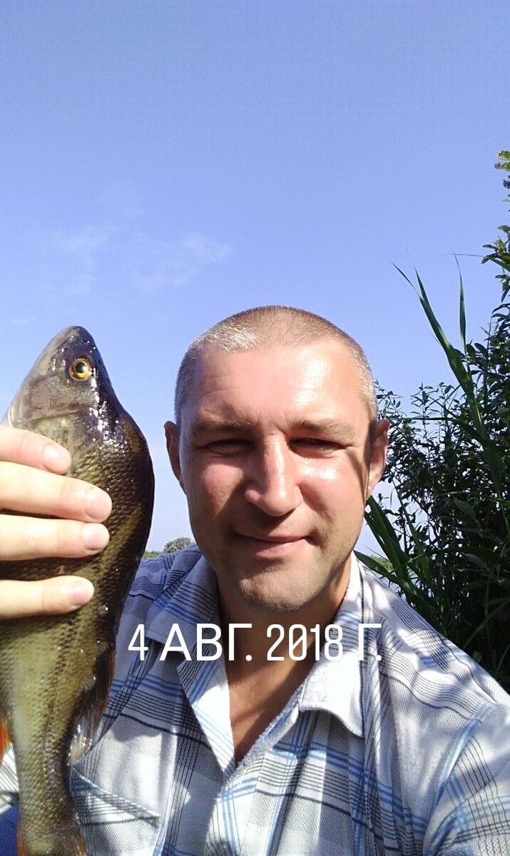  13865375  , 47 ,    