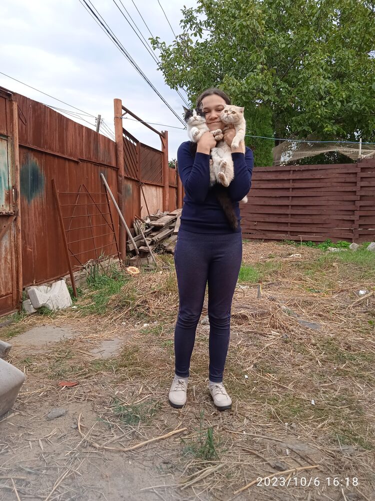 ���������� ������, ���� ������� ���������, 30 ���, ������������ ��� ������, ����� � ���������