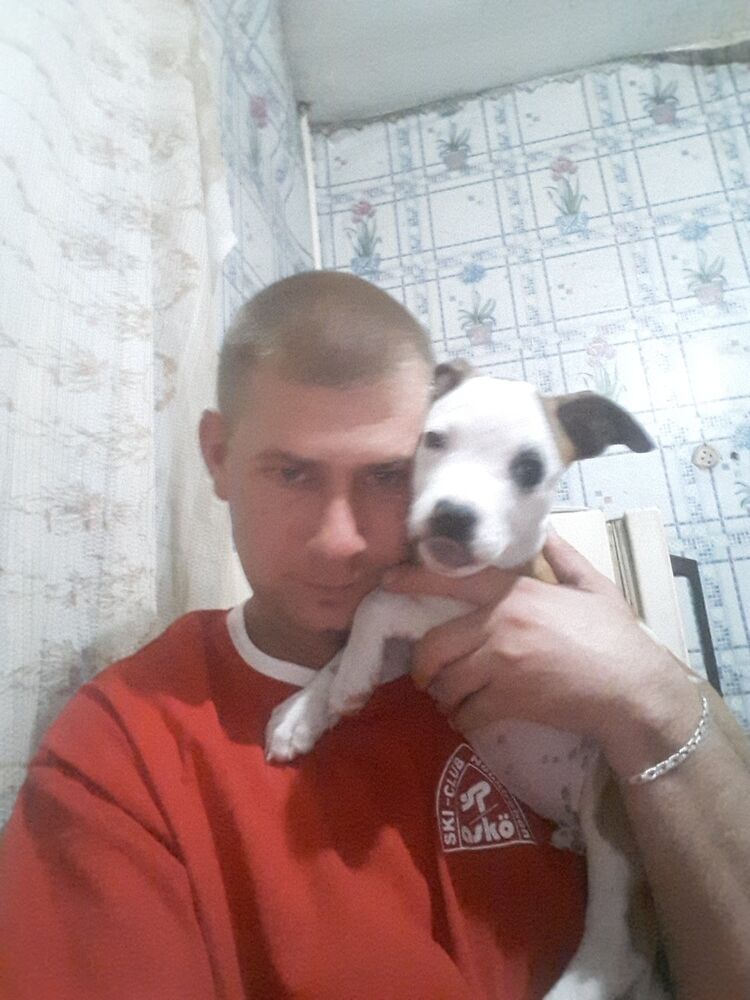 ���������� ������ ���, ���� ������� ������, 37 ���, ������������ 