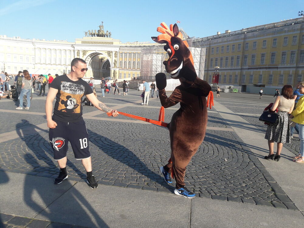 ���� 20538995 ������� �����, 34 ����, ���� ���������� � ����-��������