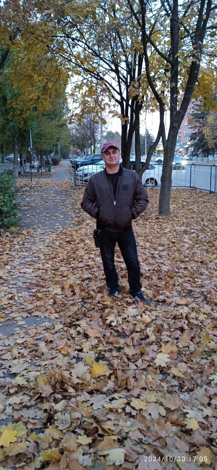  49906115  , 49 ,    