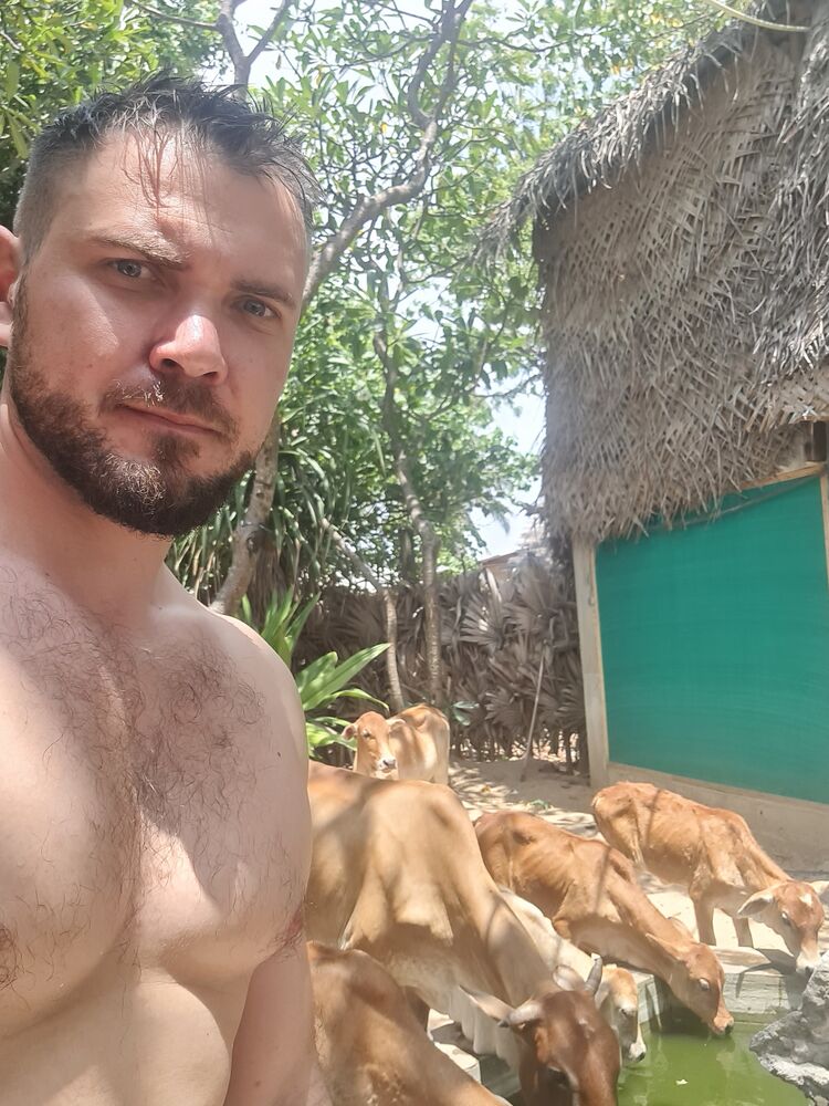 ���������� ������, ���� ������� �����, 37 ���, ������������ ��� ������, ����� � ���������