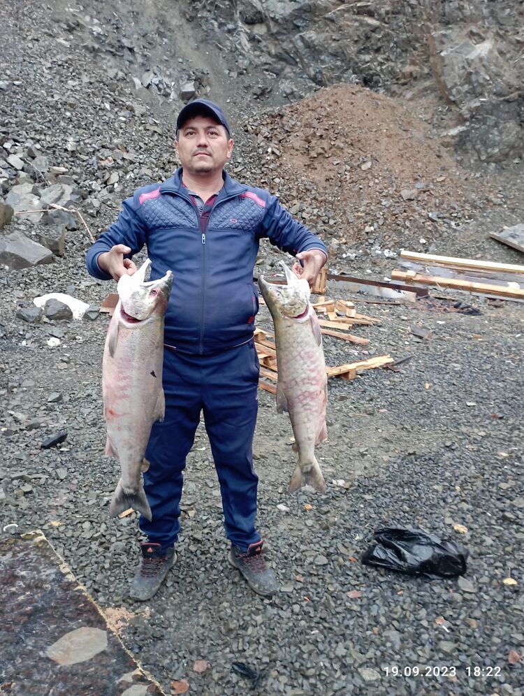 ���������� ���������, ���� ������� ����, 39 ���, ������������ ��� ������, ����� � ���������