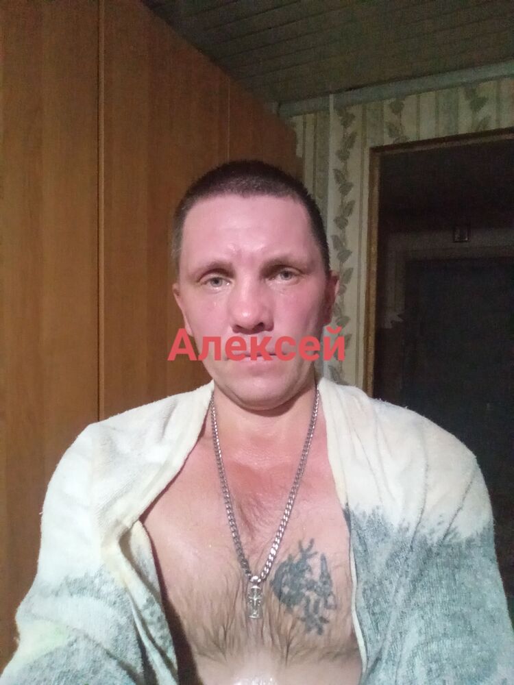  31652325  , 45 ,    