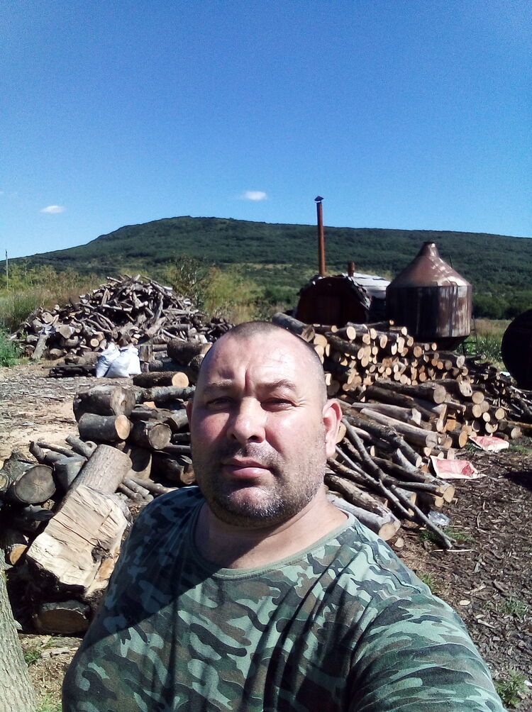  35948335  , 45 ,    