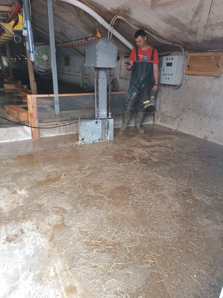 ���� 56114215 ������� ����, 34 ����, ���� ���������� � �����