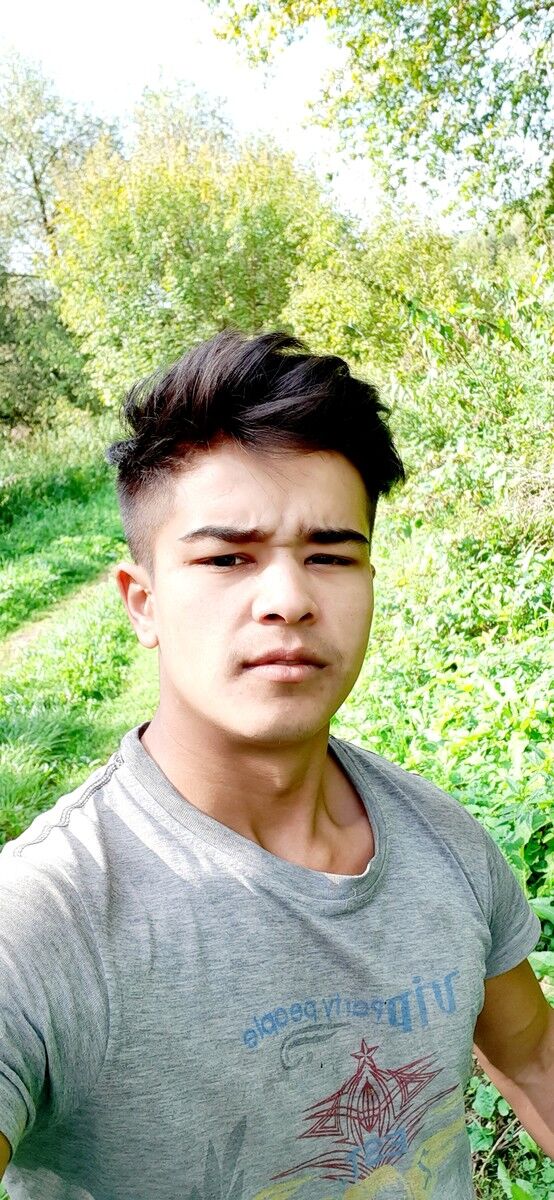  ,   LION, 28 ,   ,   , c 