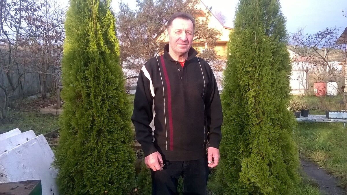 ���� 12114335 ������� ���������, 70 ���, ���� ���������� � �����-����������